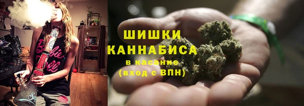 амф Богородицк
