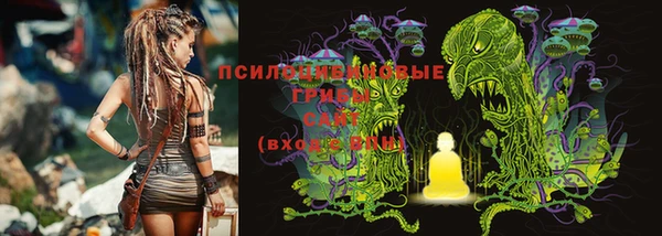 ALPHA PVP Бородино